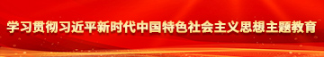 我要看欧美男人操女人逼学习贯彻习近平新时代中国特色社会主义思想主题教育